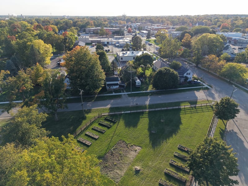 Downtown Caro autumn aerial — wide view